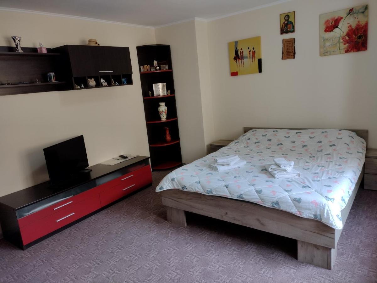 Mario'S Cozy Apartment Рышнов Экстерьер фото